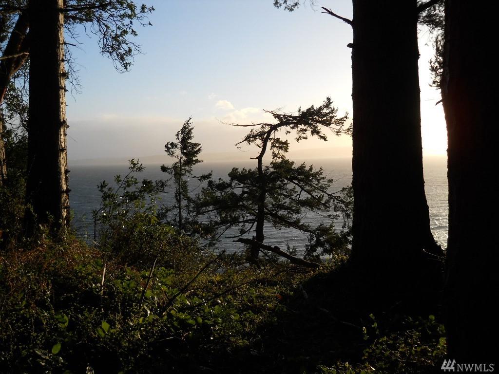 5041 Smugglers Cove Rd - Photo 1