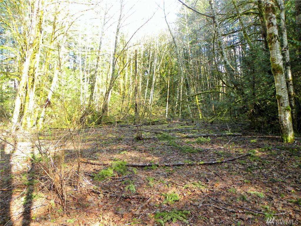 6-TR Off Of Yew Tree Lane - Photo 1