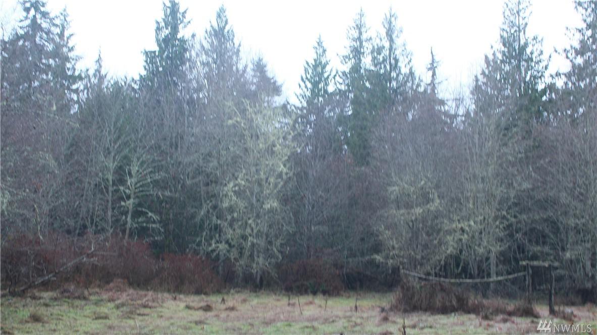 0-NNA Willow Ave - Photo 1