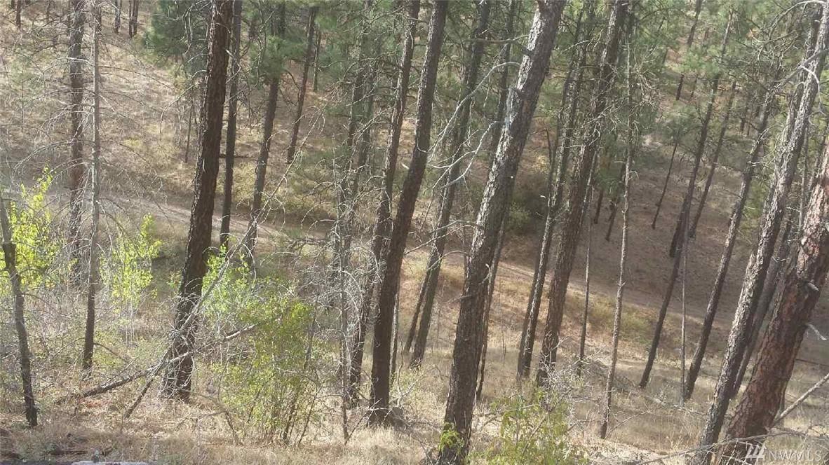 31685 Hawk Creek Ranch Rd - Photo 1