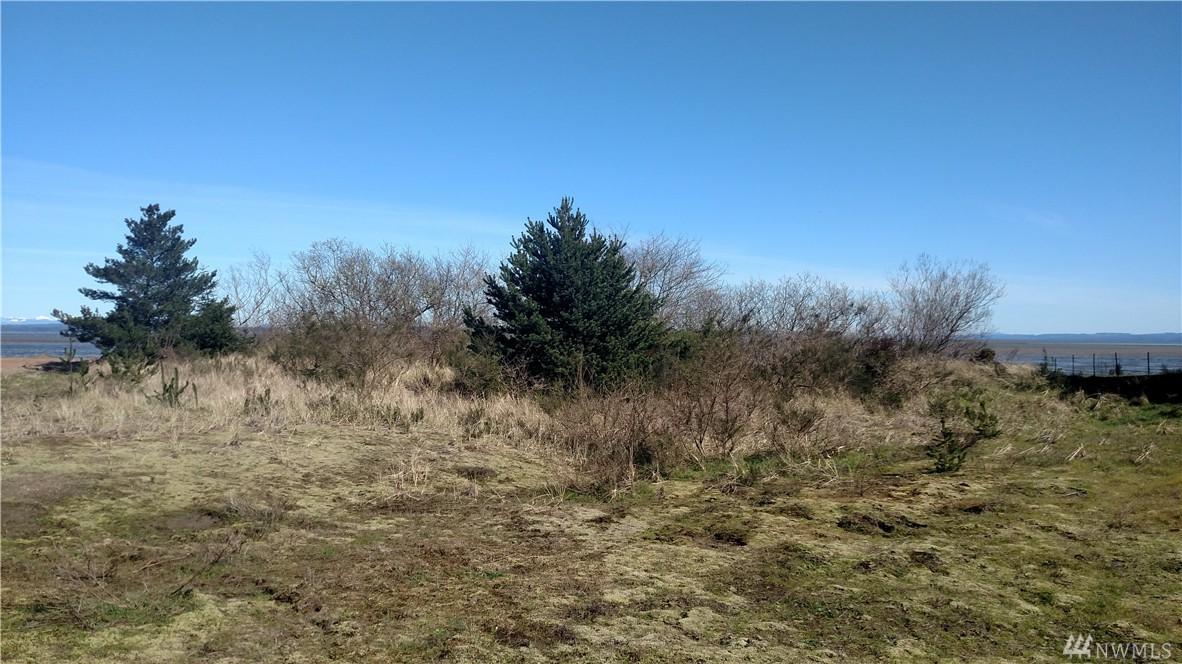 132 Sunrise Ave - Photo 1