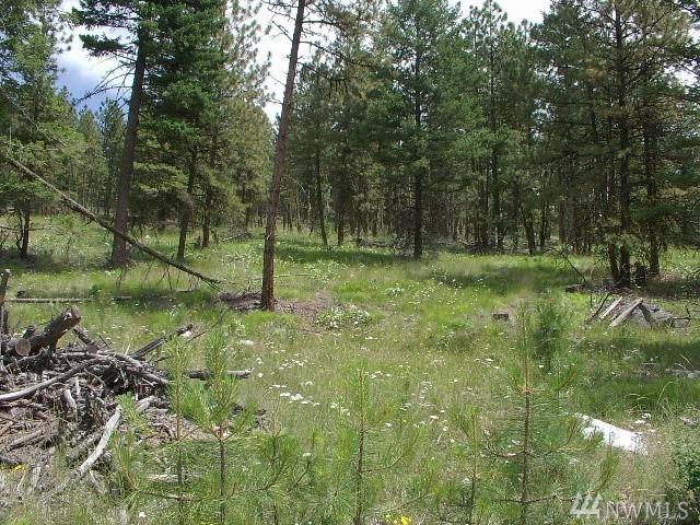 1090-Lot 1090 Fs 3525 Rd - Photo 1