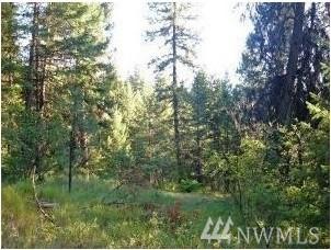 0 Lots 11, 39, 40 Lillooet Dr - Photo 1