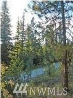 0 Lots 17 & 18 Lillooet Dr - Photo 1