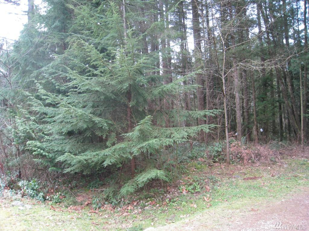 2531 Blackbird Valley Place - Photo 1