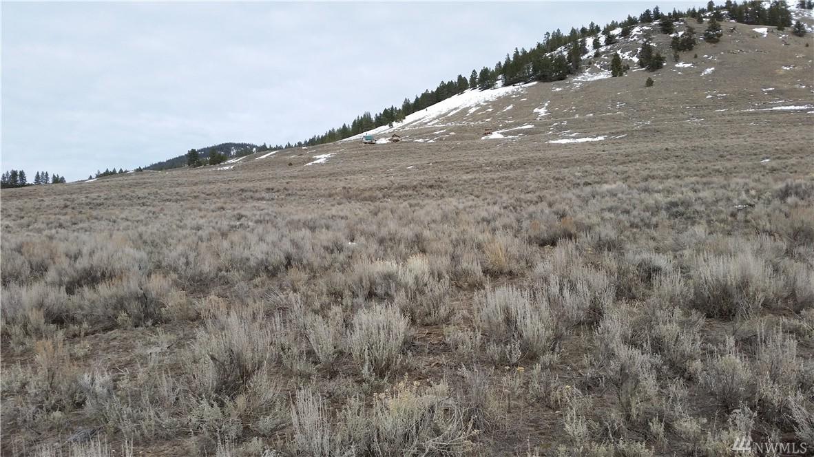 0-tbd Neil Circle - Photo 1