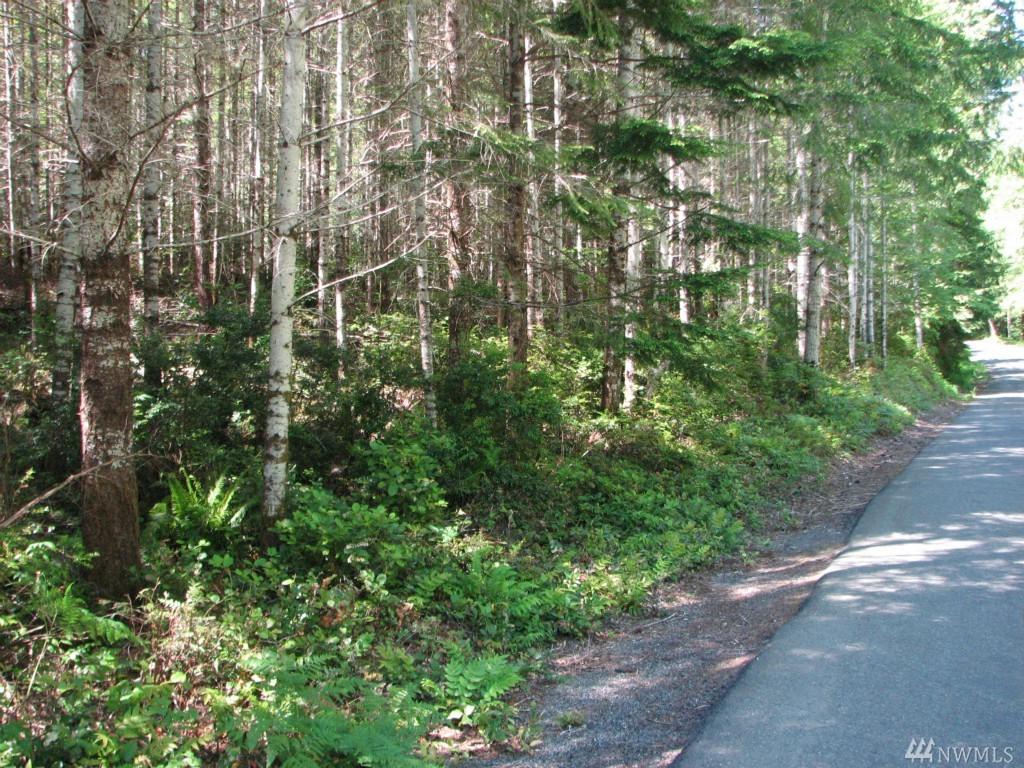 19-acres Dewatto Rd - Photo 1