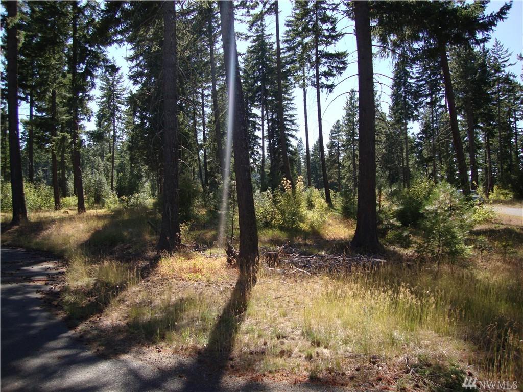 31 Fireweed Ct - Photo 1