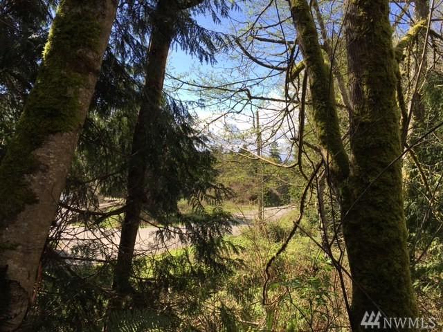 0 Bridge View Place - Photo 1