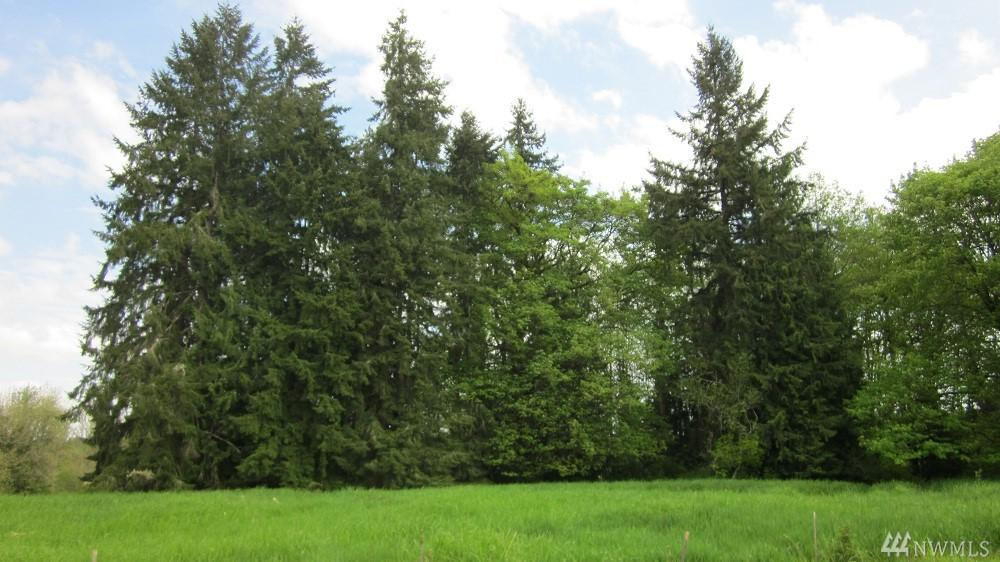 0-XXX Walker Rd - Photo 1