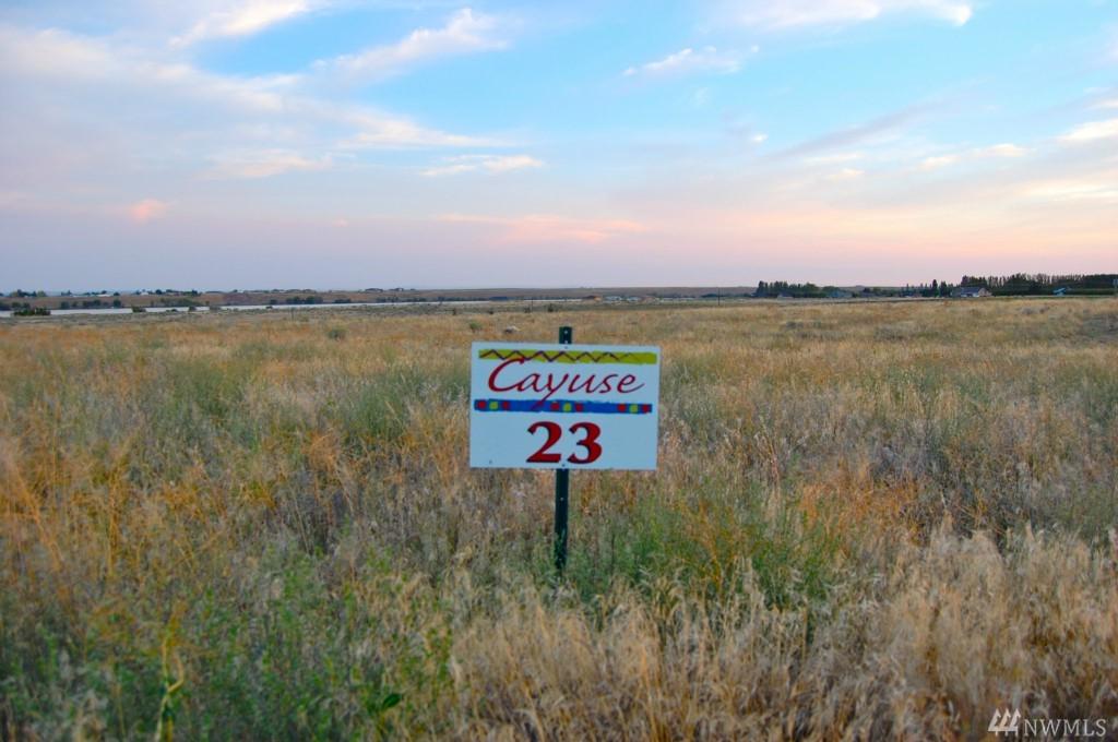 5355 Road 7.3 - Photo 1