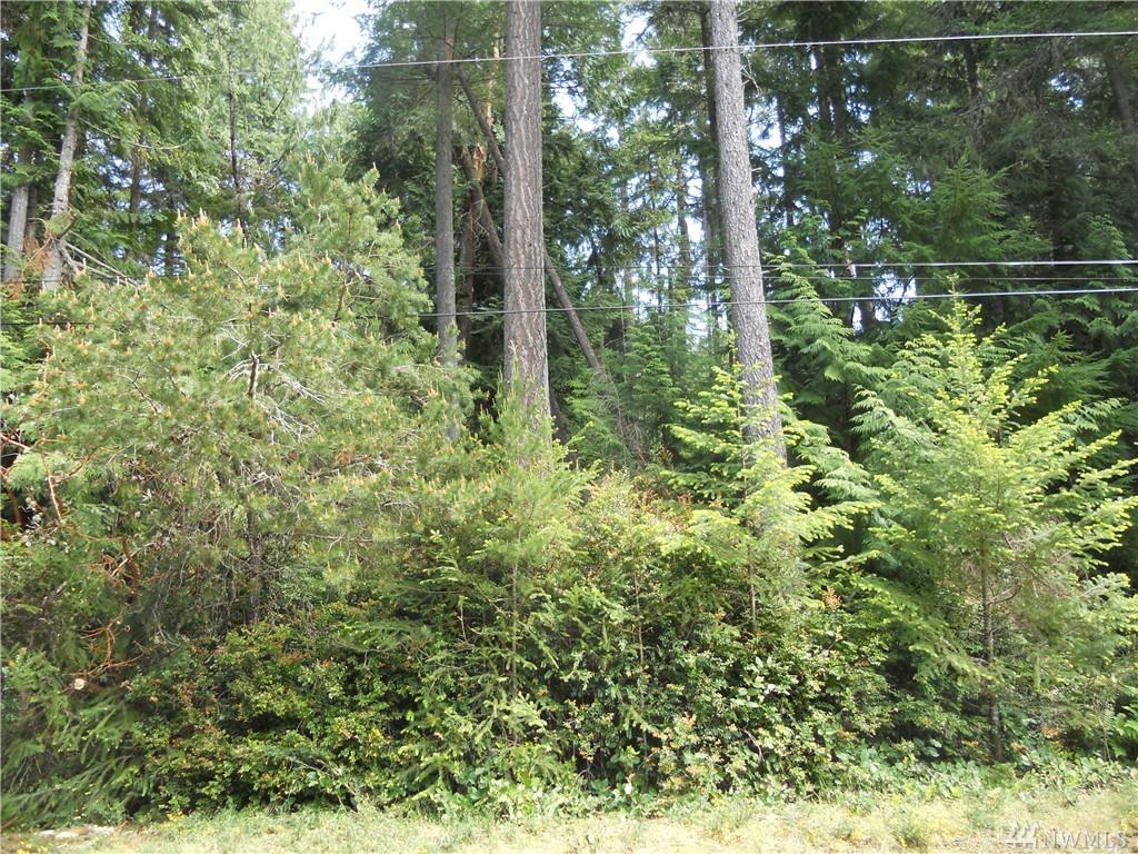 9011 127th Av Ct - Photo 1