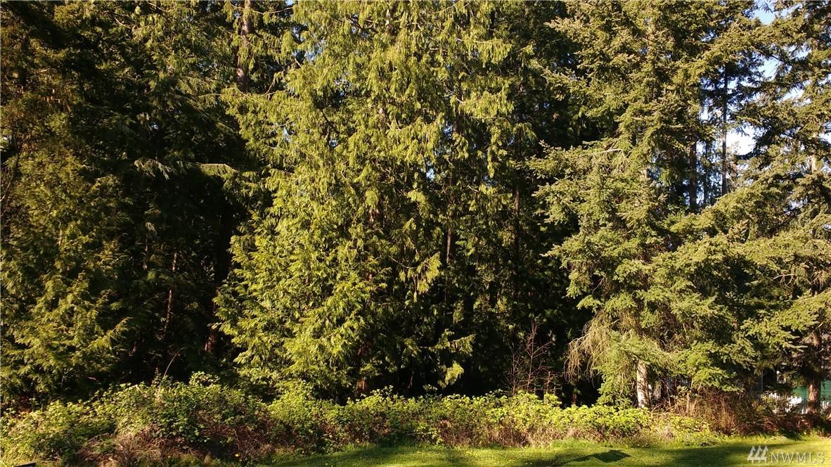 0-Lot 2 Manito Dr - Photo 1