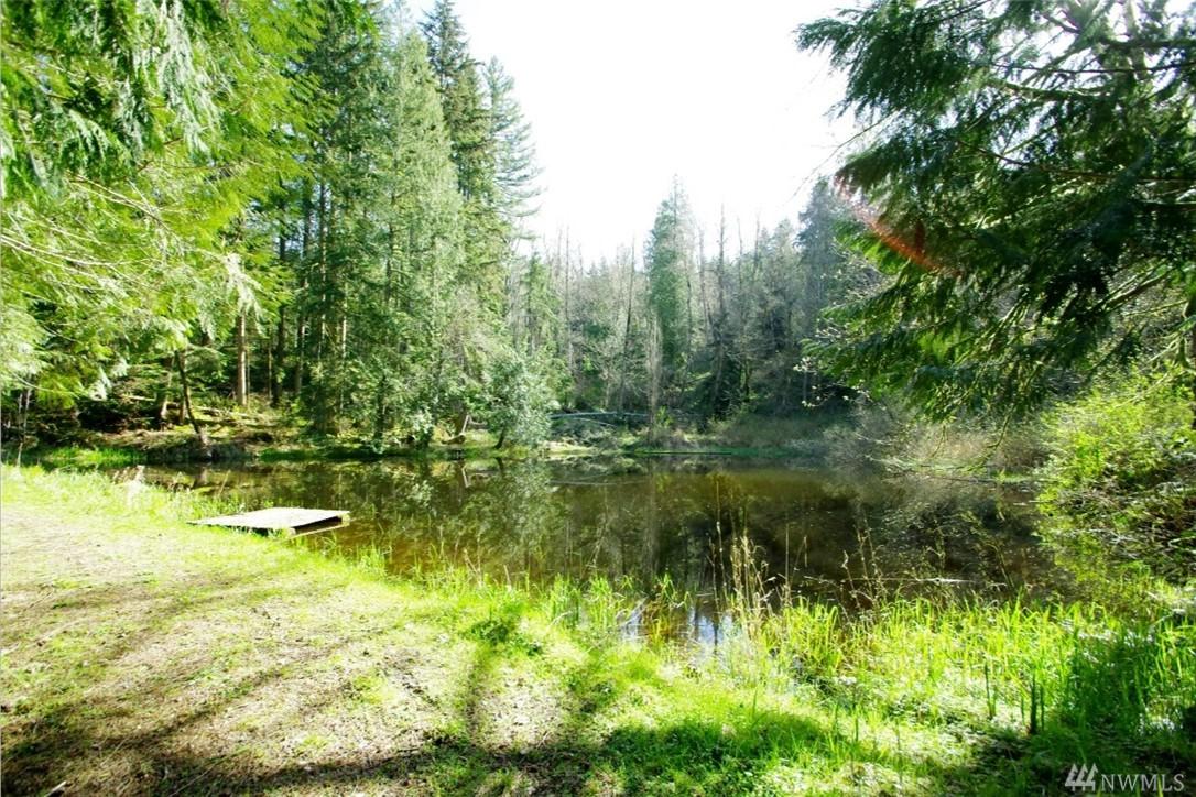288-XX Mud Mountain Rd - Photo 1