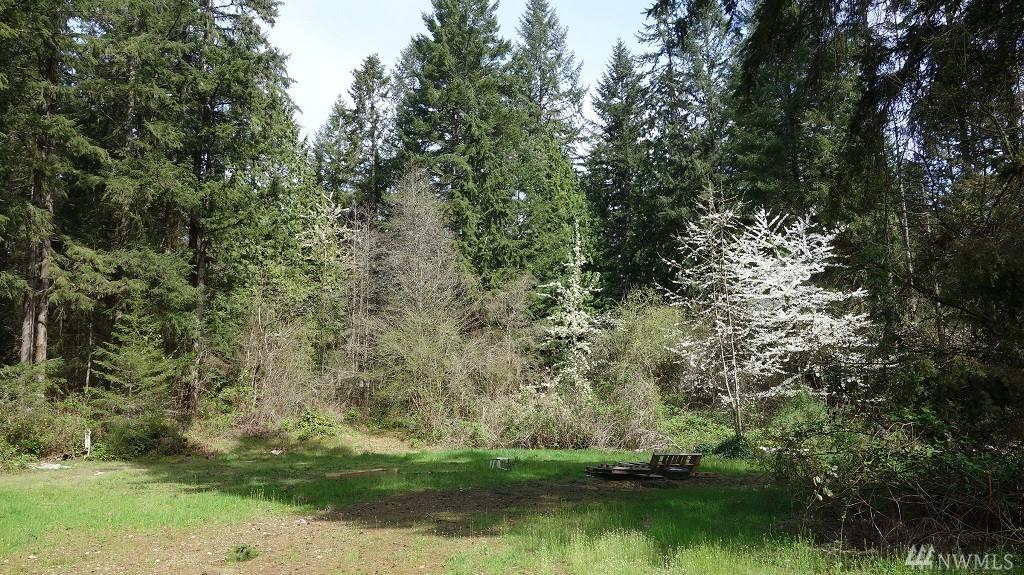 18515 168th Ave - Photo 1
