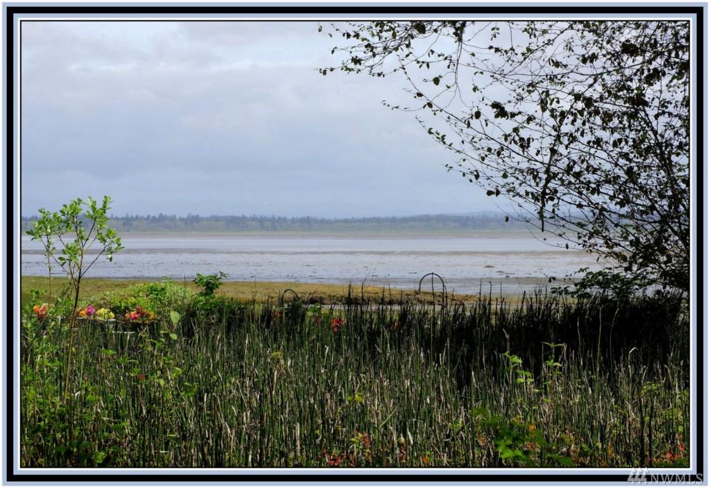 744 Duck Lake Dr - Photo 1