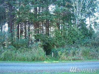 42 Coral Lane - Photo 1