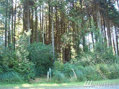 45 Coral Lane - Photo 1