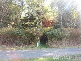 4 Coral Lane - Photo 1