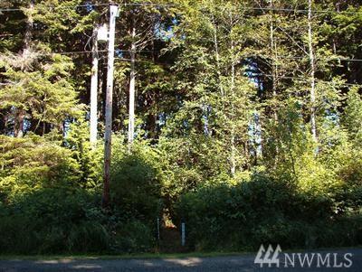 12 Coral Lane - Photo 1