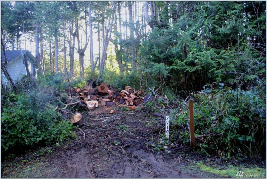 10 Coral Lane - Photo 1