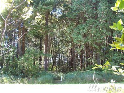 49 Coral Lane - Photo 1