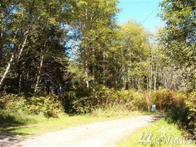 35-36 Patricia Dr - Photo 1