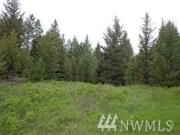 0 Old Kettle Falls Rd. - Photo 1