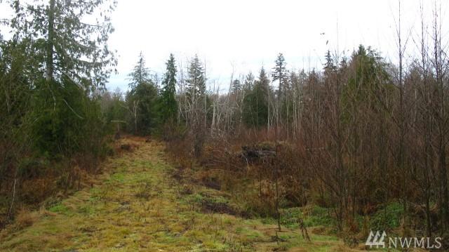 999-Parcel12 Nelson Creek Lane - Photo 1