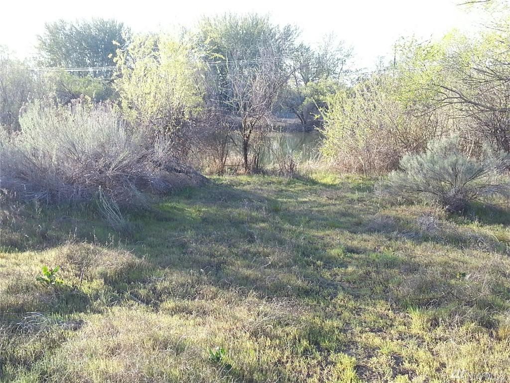 500 Sandalwood Place - Photo 1
