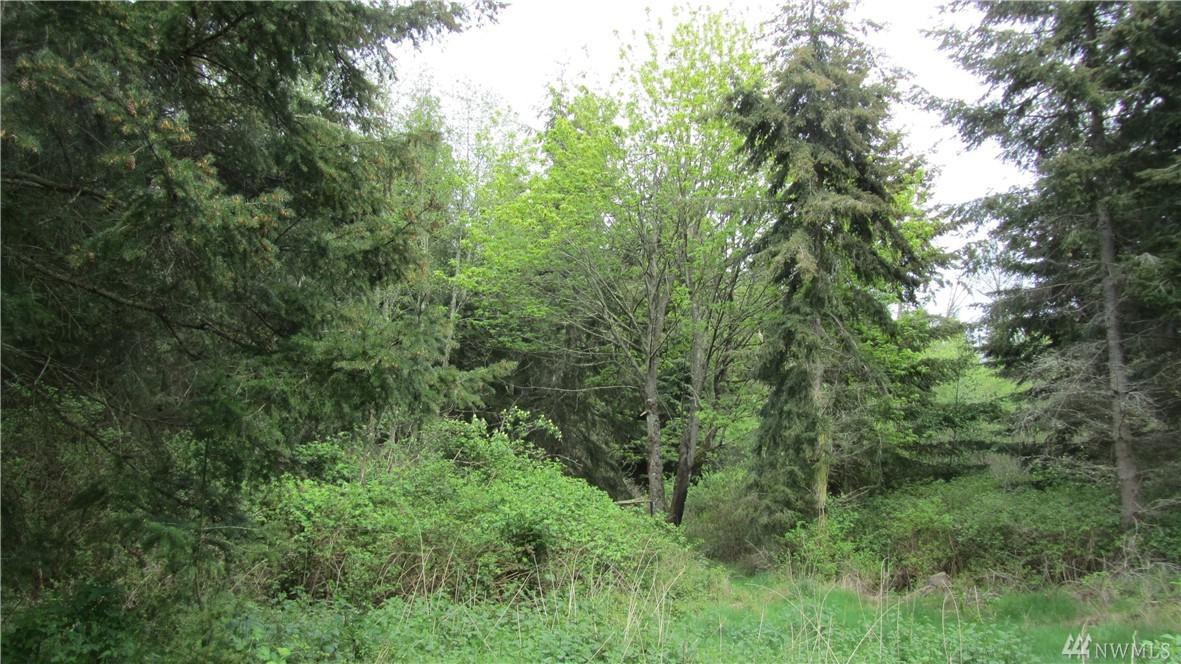 377 Houston Rd - Photo 1