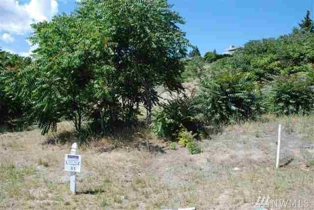 0 Village Dr - Photo 1