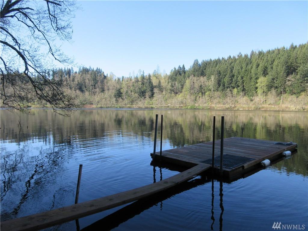 39620 Ski Park Rd - Photo 1