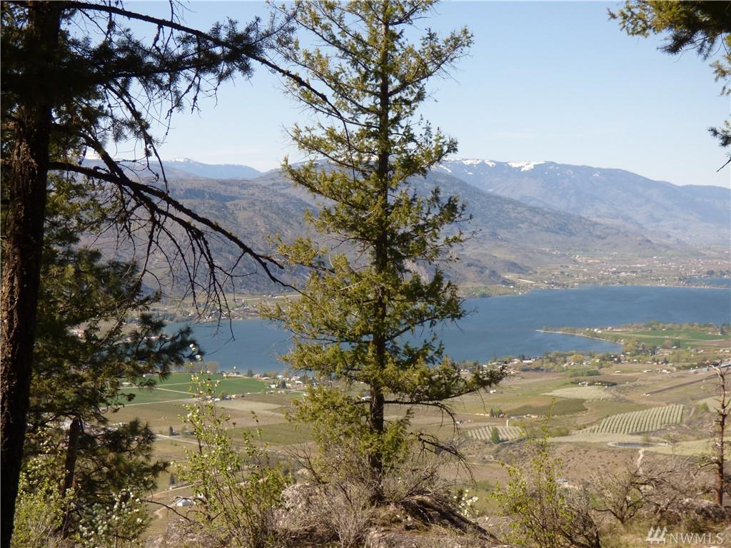 210-TBD Gold Rush Ridge - Photo 1