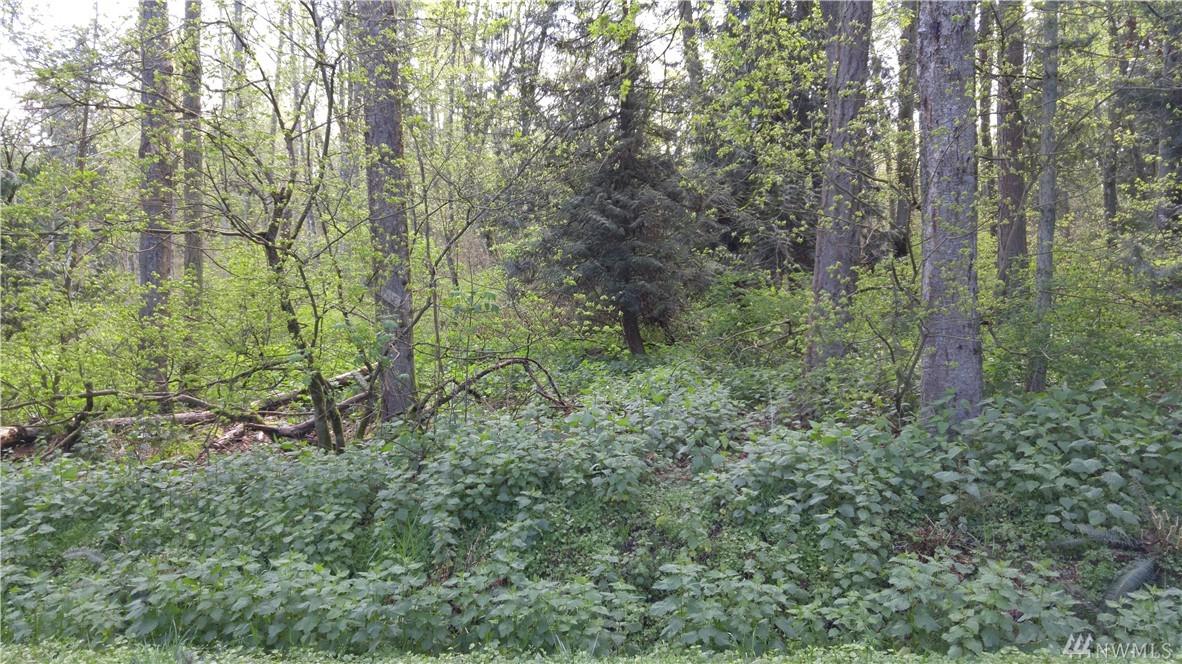 0 Semiahmoo Drive - Photo 1