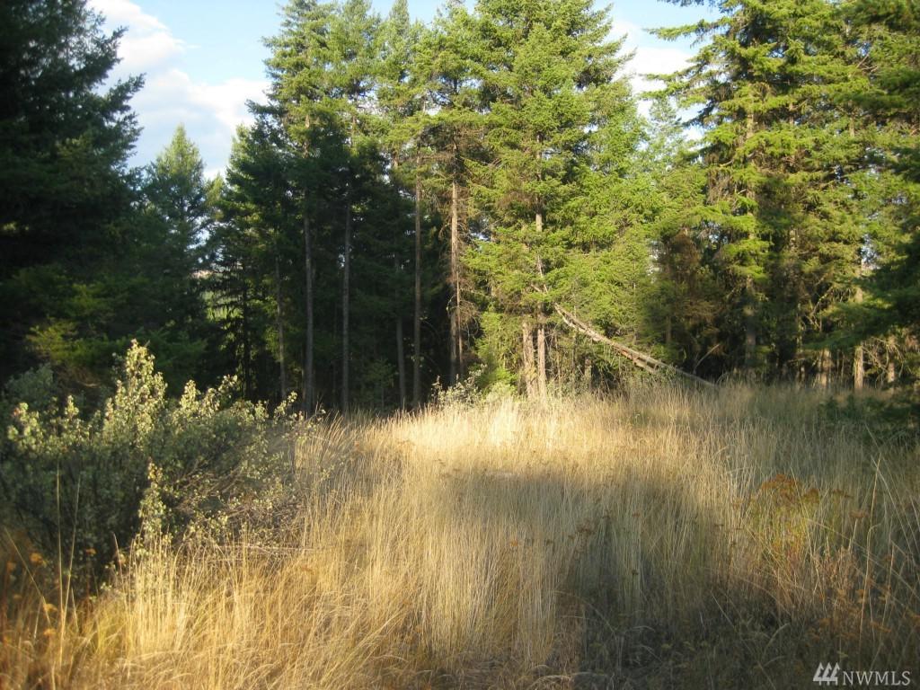 65 Corral Dr - Photo 1