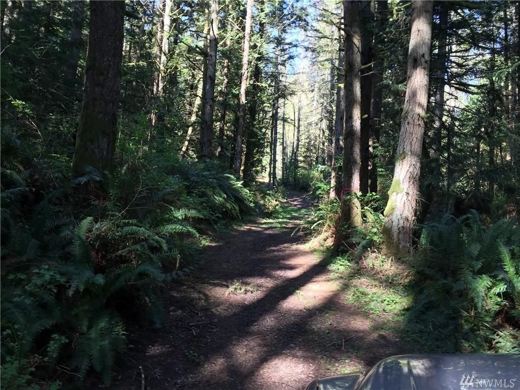 204-xx 229th Place - Photo 1