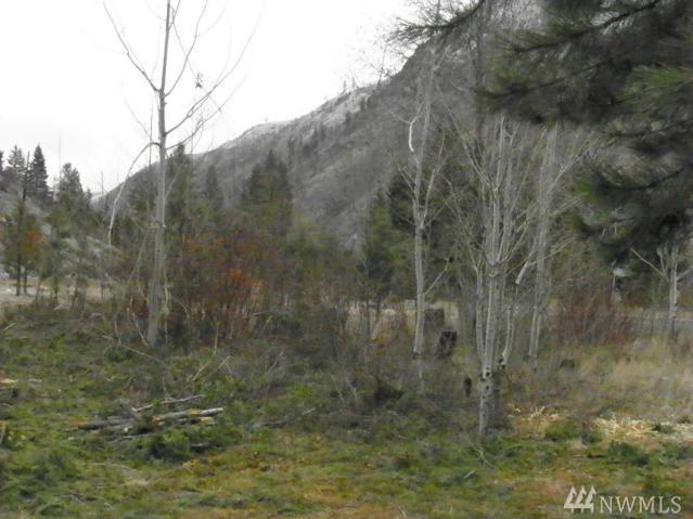 24 Parcel D Entiat River Rd - Photo 1