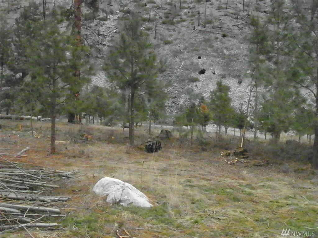 13579 Entiat River Rd - Photo 1