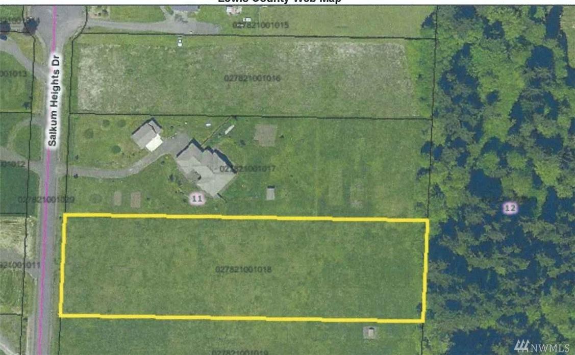 0-Lot 18 Salkum Heights Dr - Photo 1