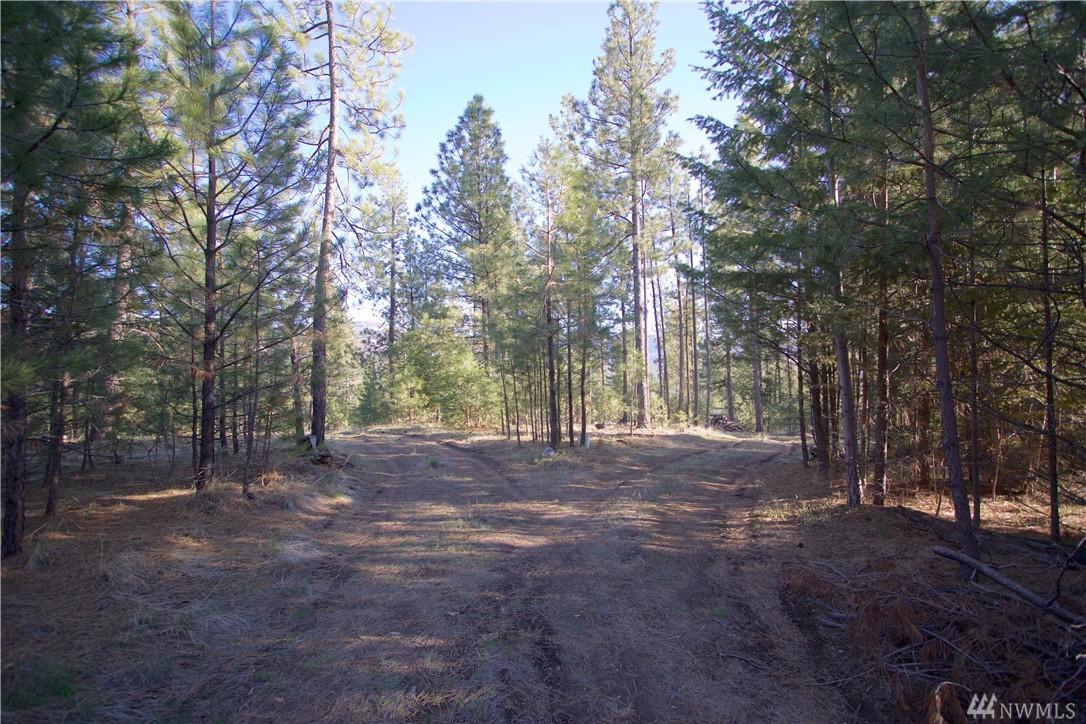 50 Lookout Trail - Photo 1