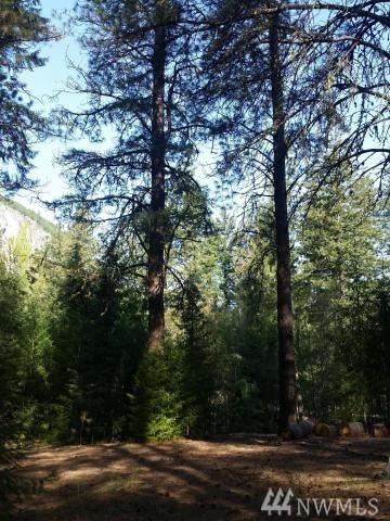 0 Tyee Dr - Photo 1
