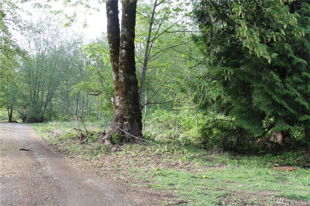 0 Ravena Lane - Photo 1