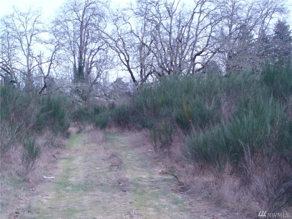 12505 47th Ave - Photo 1