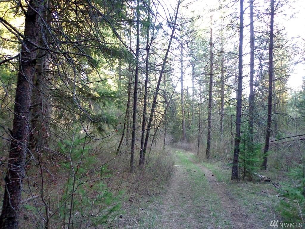0-North Rainy Ridge Rd - Photo 1