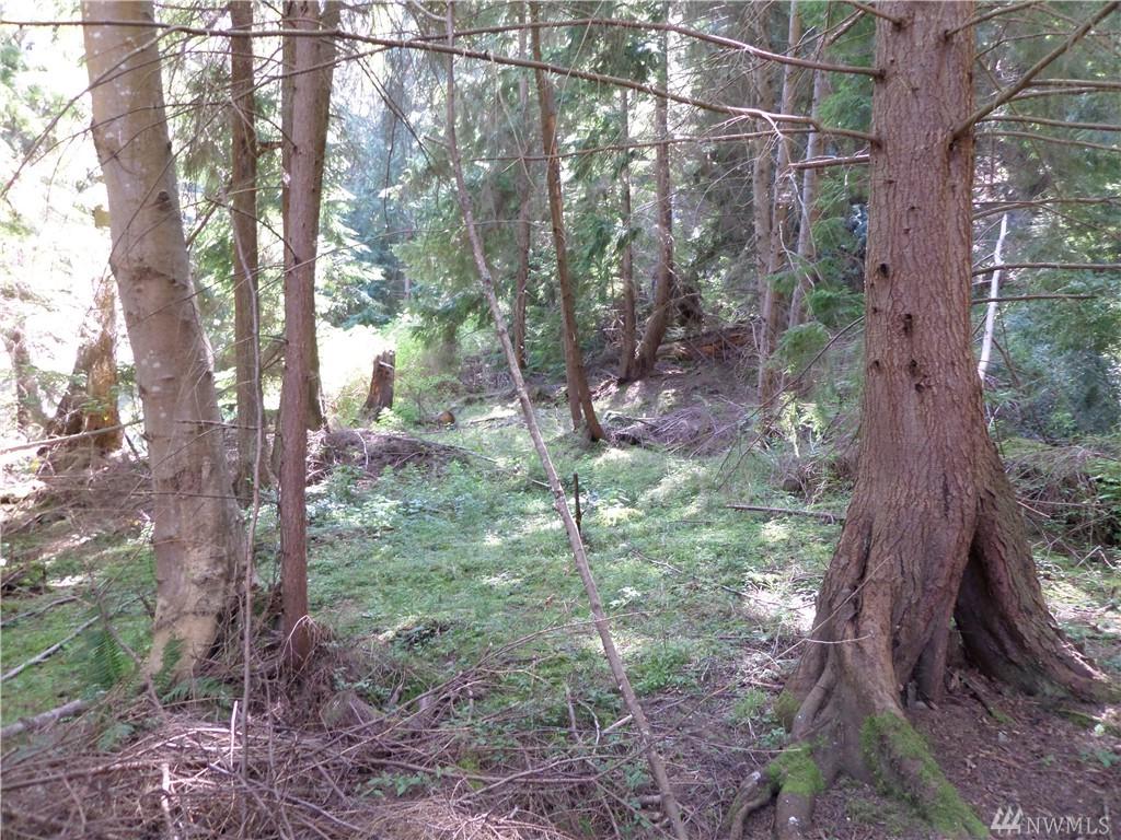 0-XXX Raccoon Point Rd - Photo 1