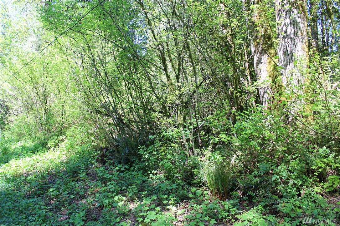 20-x Lake Roesiger Rd - Photo 1