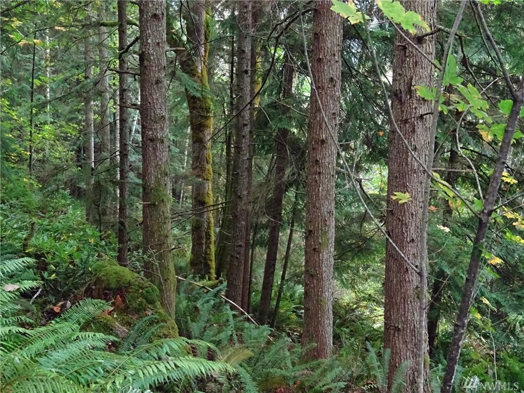 0 Hwy 101 - Photo 1