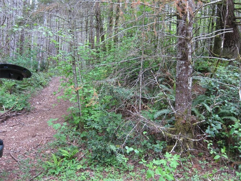 0-Lot 16 Ne Tahuya Valley Dr - Photo 1