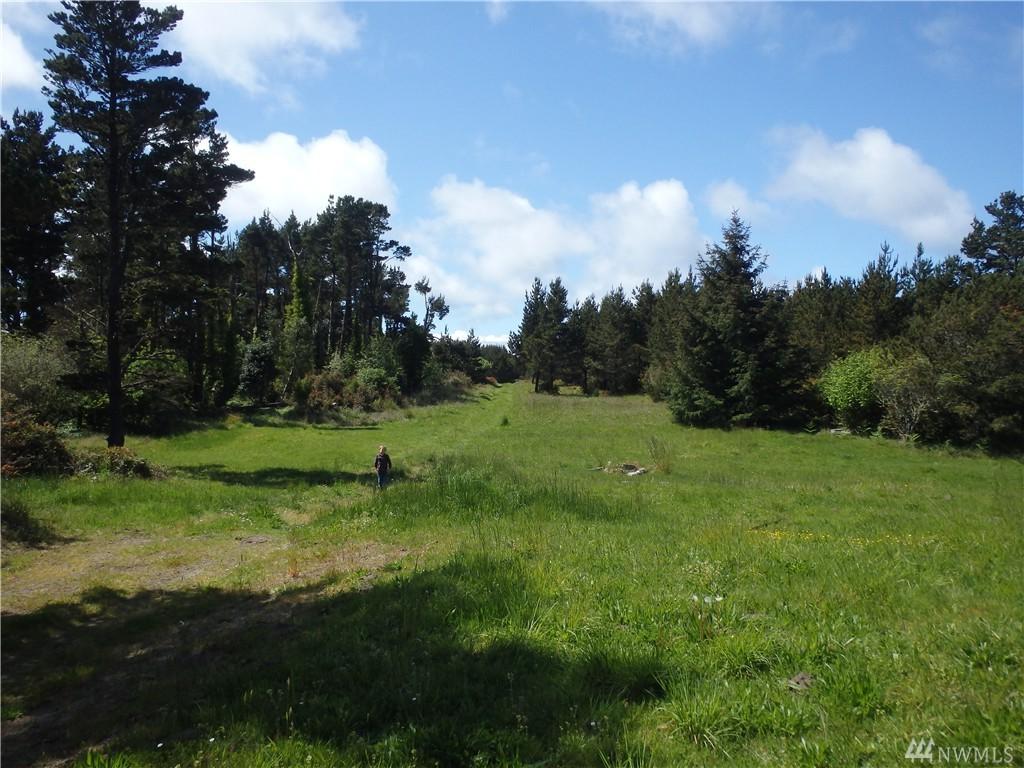 20007 Pacific Hwy - Photo 1